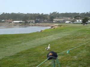 CU - at the 18th hole at the U.S. Open!
