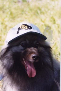 Mouse wearing CU hat Mouse showing his CU allegiance