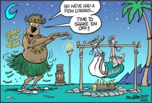 Drew Litton - Hawai'i