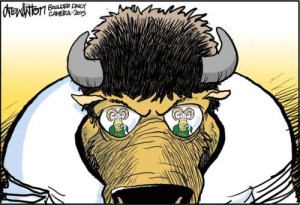 Drew Litton - CSU 2015